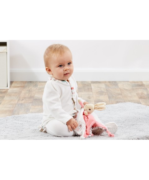 Beatrix potter flopsy bunny comfort blanket online