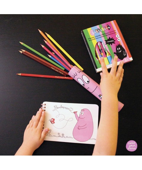 50 PAGE NOTEBOOK BARBAPAPA