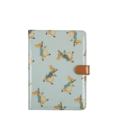 BOOK COVER PETER RABBIT