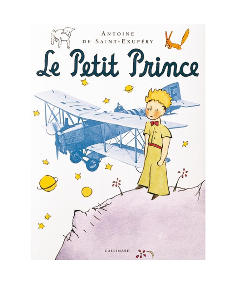 BOOK THE LITTLE PRINCE (120 pages)
