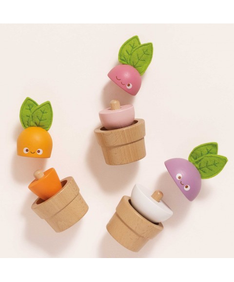 LÉGUMES EMPILABLES EN BOIS 