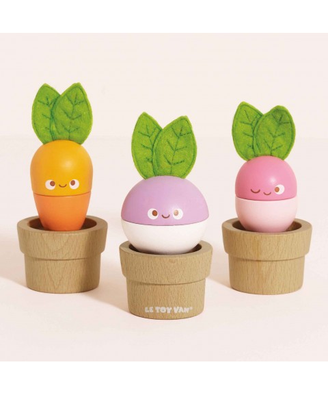 LÉGUMES EMPILABLES EN BOIS 