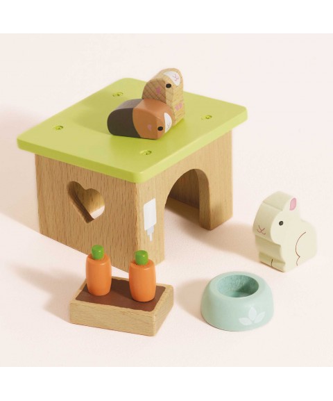 LAPIN ET COCHON D'INDE
