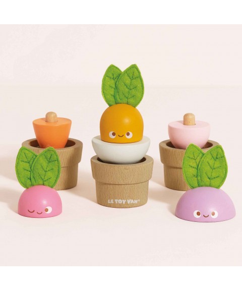 LÉGUMES EMPILABLES EN BOIS 