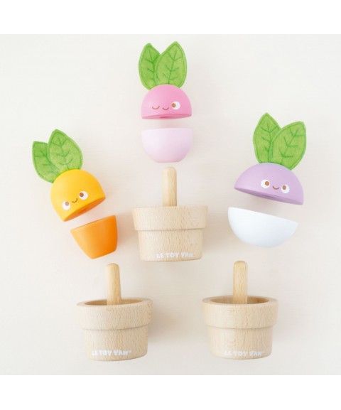 LÉGUMES EMPILABLES EN BOIS 