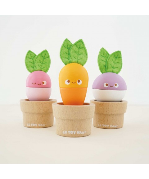 LÉGUMES EMPILABLES EN BOIS 