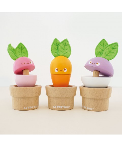 LÉGUMES EMPILABLES EN BOIS 