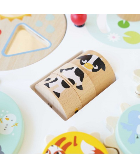 SENSORY ACTIVITY TABLE