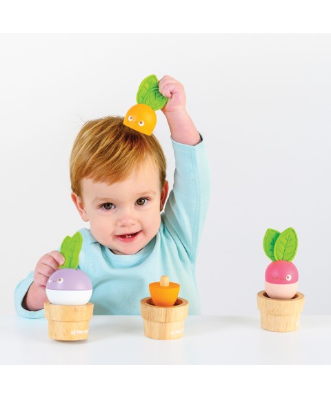 LÉGUMES EMPILABLES EN BOIS 