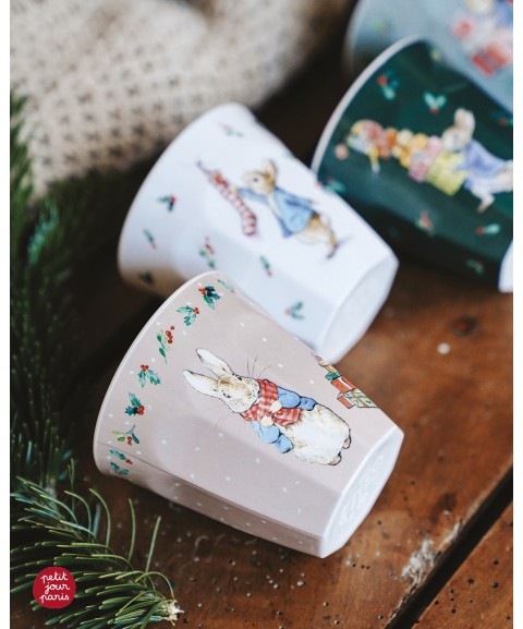 TUMBLER PETER RABBIT WINDOW CHRISTMAS 