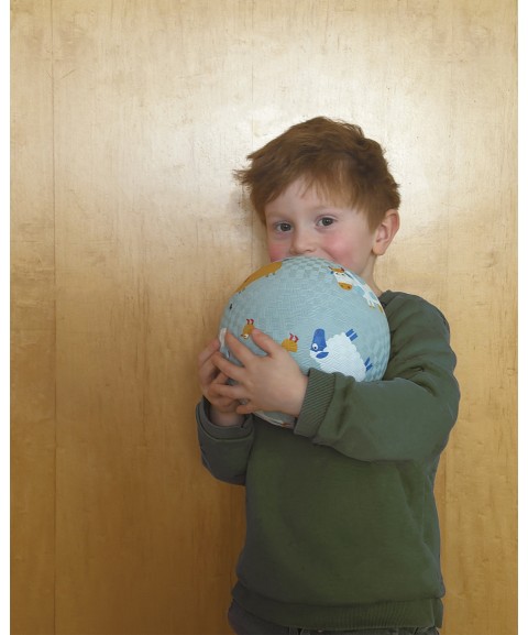 LARGE PLAYGROUND BALL THE FARM