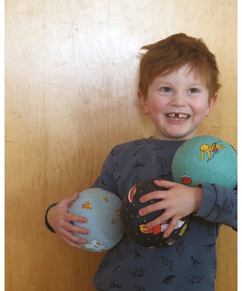 SMALL PLAYGROUND BALL THE FARM