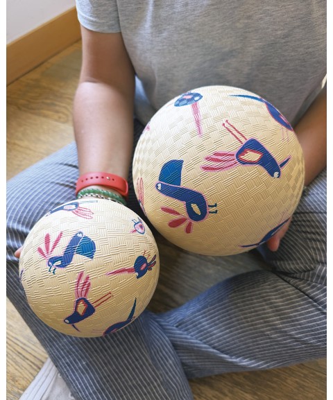 LARGE PLAYGROUND BALL BIRDS