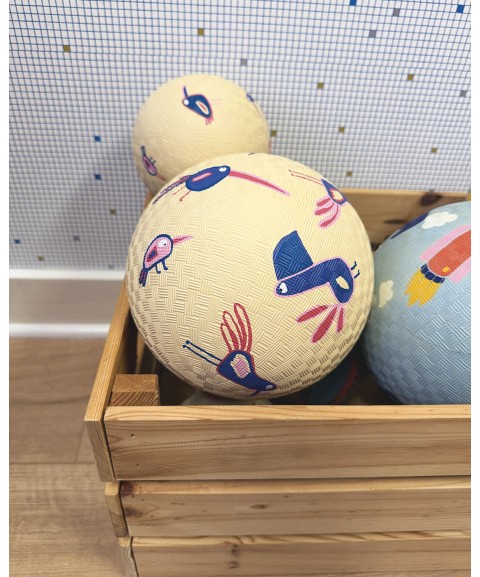 SMALL PLAYGROUND BALL BIRDS