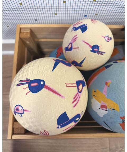 SMALL PLAYGROUND BALL BIRDS