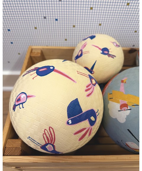 SMALL PLAYGROUND BALL BIRDS